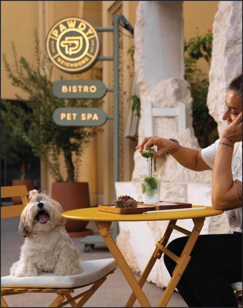 Pet Spa Bistro Branding Pawdy Neighbors